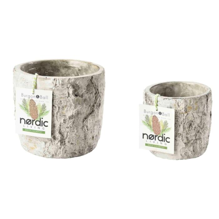 Burgon & Ball Silver Birch Plant Pot-1
